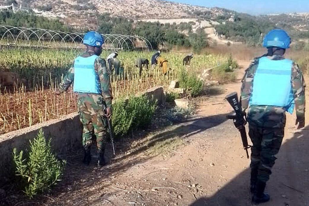 Protecting harvests, supporting livelihoods in south Lebanon
